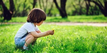 Dziecko w parku przygląda się zerwanemu kwiatowi