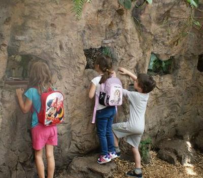 Wycieczka dzieci do zoo 08